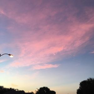 Meet your Posher, Cheyanne